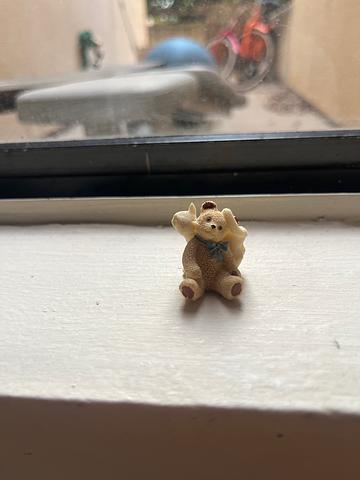 Teddy & Cat