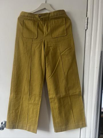 harry pant