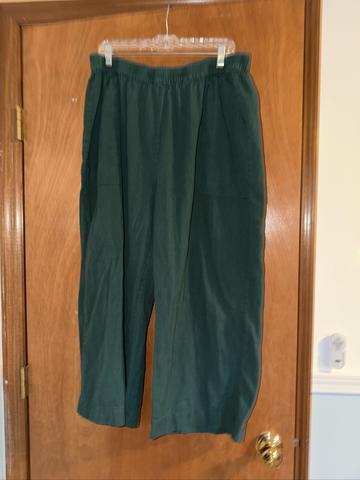 Ojasvi Pants