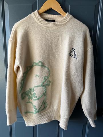 Dinosaur Sweater