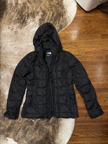 Hooded puffer