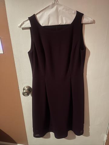 Purple Skater Dress with Mesh Hem