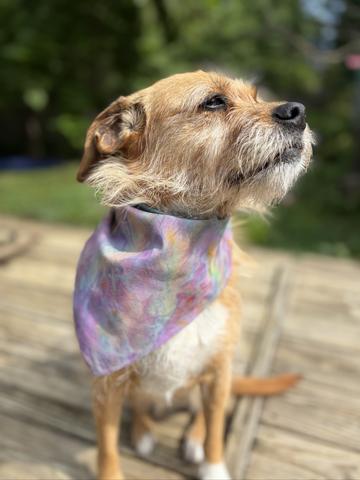 Ice Dyed Cotton Bandana
