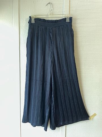 Accordian pleats pants