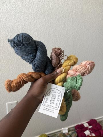 Big Little Yarn Co Fingering Yarn