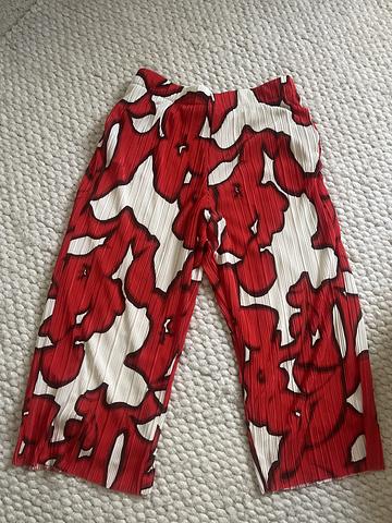 statement pants