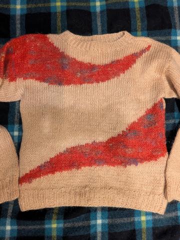 Graphic swoosh sweater
