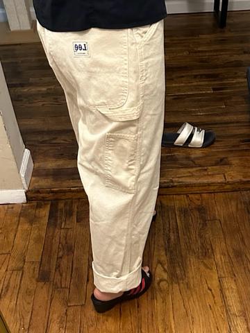 Lee Painter Pants