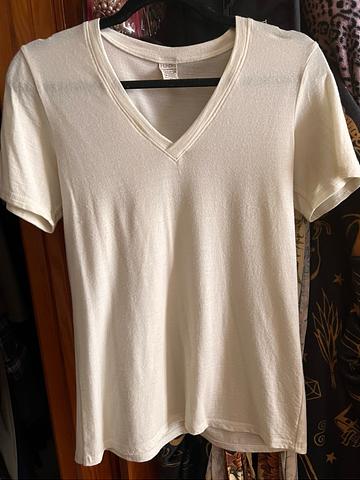 Humbird v neck tee