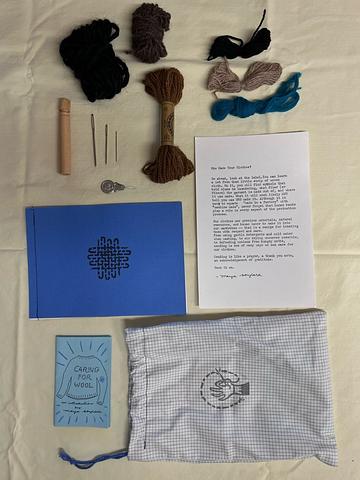 Darn It! Darning Kit
