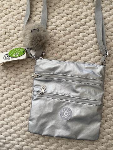 Silver Purse