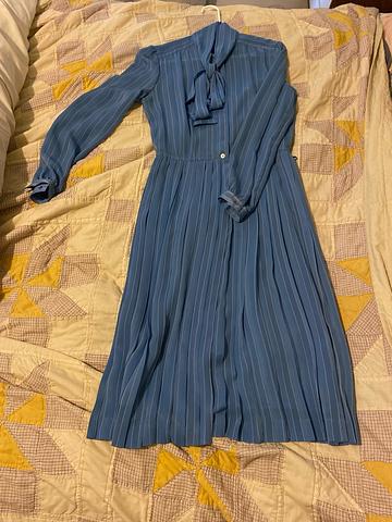 Parisian schoolteacher dress