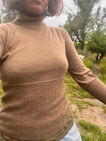 pendleton victorian merino turtleneck