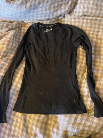merino 250 top