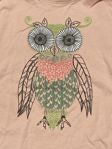 Tea long sleeve owl top