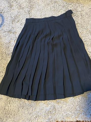 pleated skirt