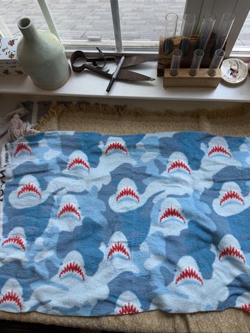 Joann’s Fabric Fleece Remnant