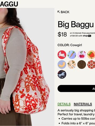 Big Baggu