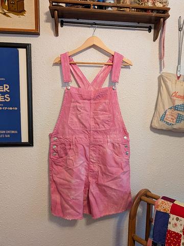 Ziggy Shortalls