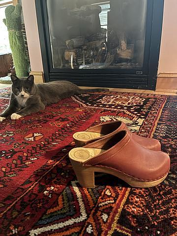Heeled clogs