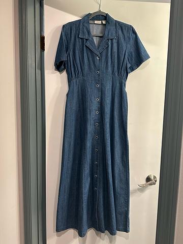 Erika vintage denim dress