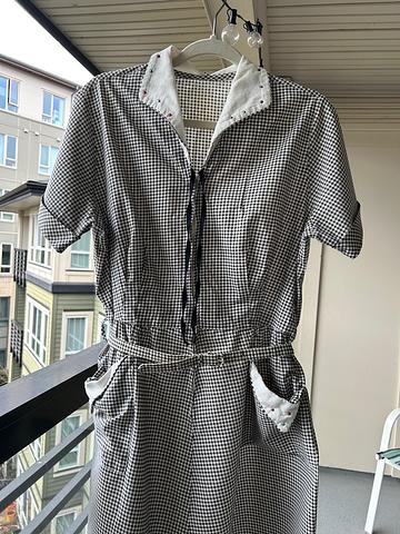 1950s Day Dress