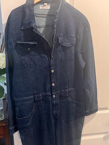 Warp + Weft Denim Jumpsuit