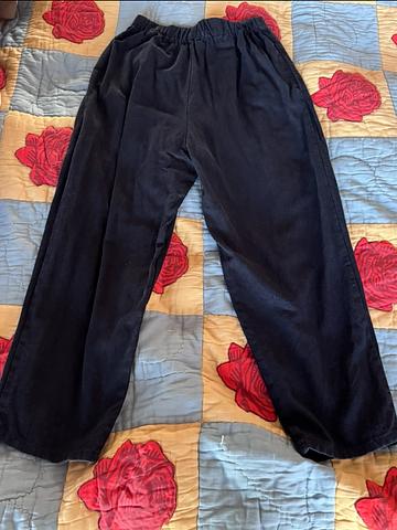 Lena silk canvas pant