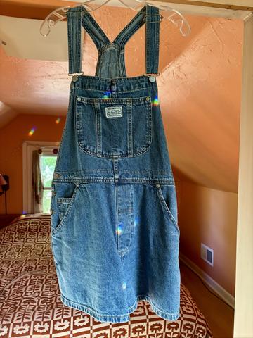 Denim Overall Shorties