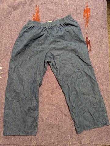 Chambray pants