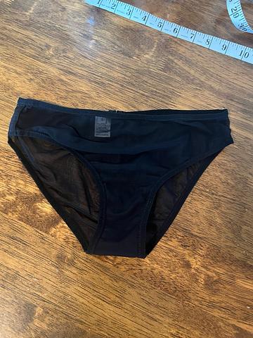 sheer panties