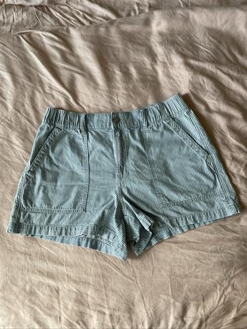 Railroad Stripe Denim Shorts
