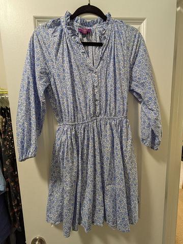 J. crew Liberty ruffle collar mini dress