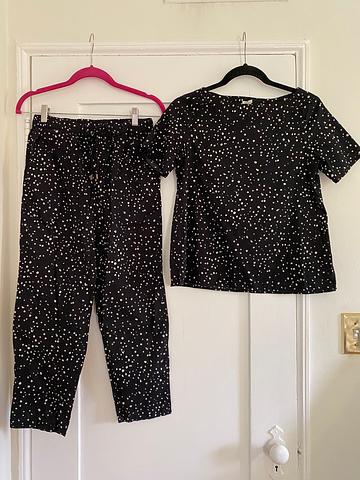 Eileen Fisher Constellation top and pants set
