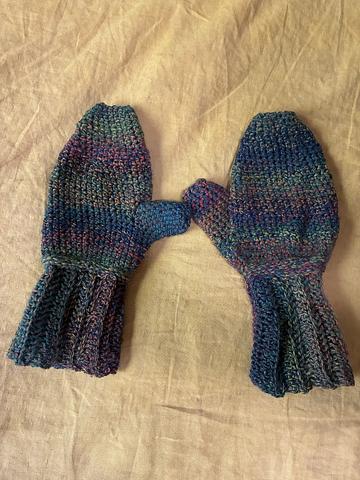 Mystery mittens