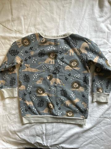 Lions sweatshirt