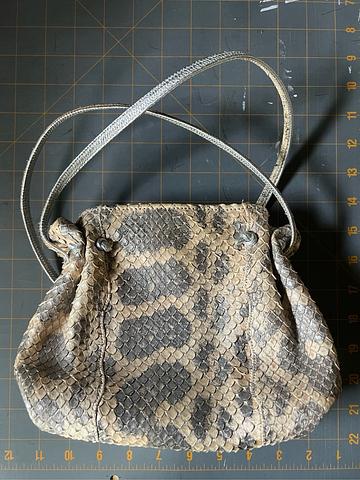 Snakeskin purse