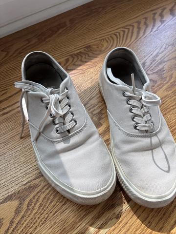 Sperry Canvas Sneakers