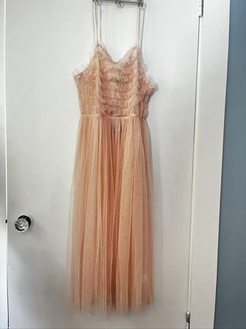 Sheer pink dress