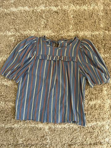Sagebrush top