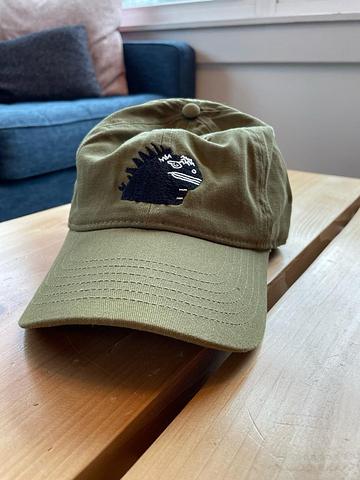 Marine iguana baseball cap