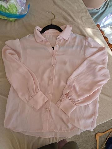 Sheer Long Sleeve Blouse