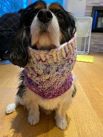 Tail Cowl