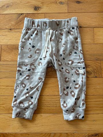 Leopard joggers