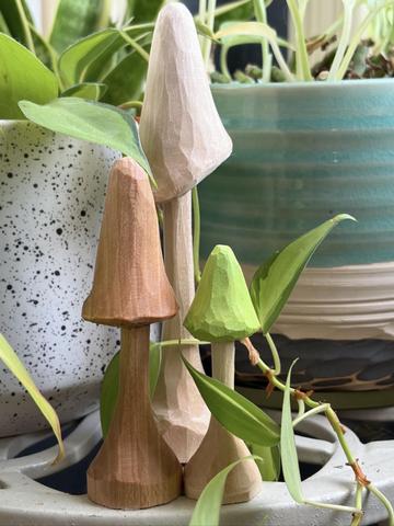 Mystery Mushroom Set