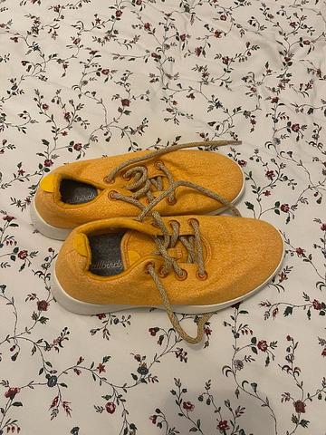 Allbirds