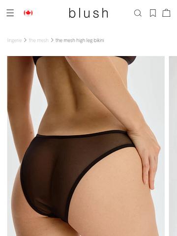 Mesh High Leg Bikini