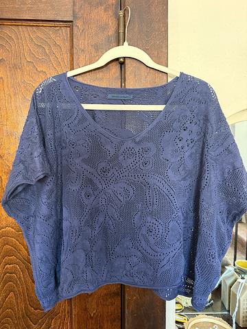 Cropped lace top