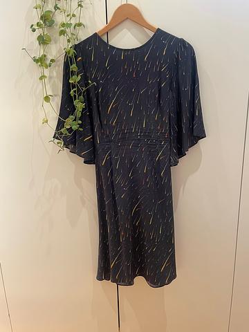 Samantha Pleet Comet Print Noble silk dress