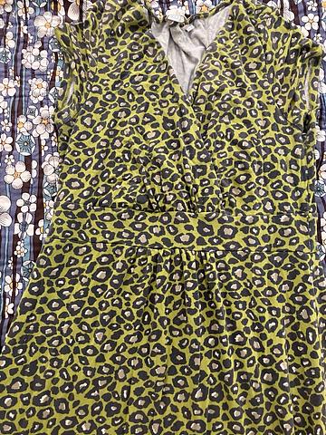Boden green leopard print dress